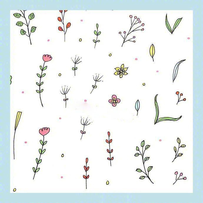 24种花草植物的画法，点亮你的手抄报