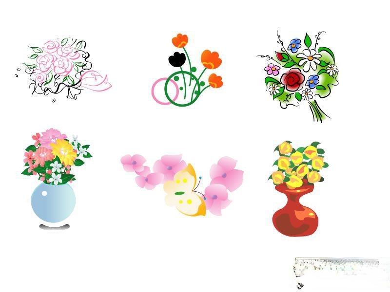 板报插图：六种精美的花