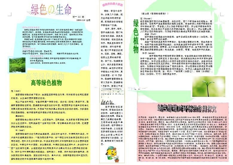 绿色的生命手抄报图片下载