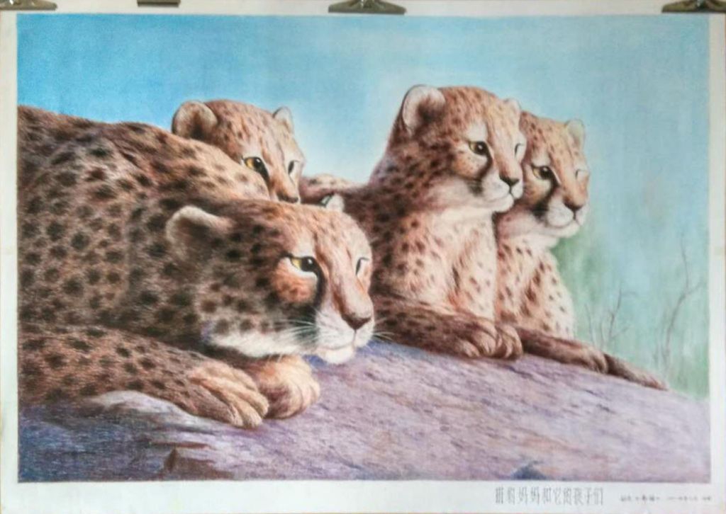 猎豹妈妈和他的孩子们粉笔画作品