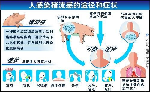人感染甲型H1N1猪流感的途径和症状