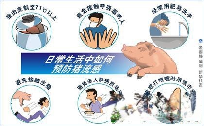 日常生活中如何预防猪流感展板设计