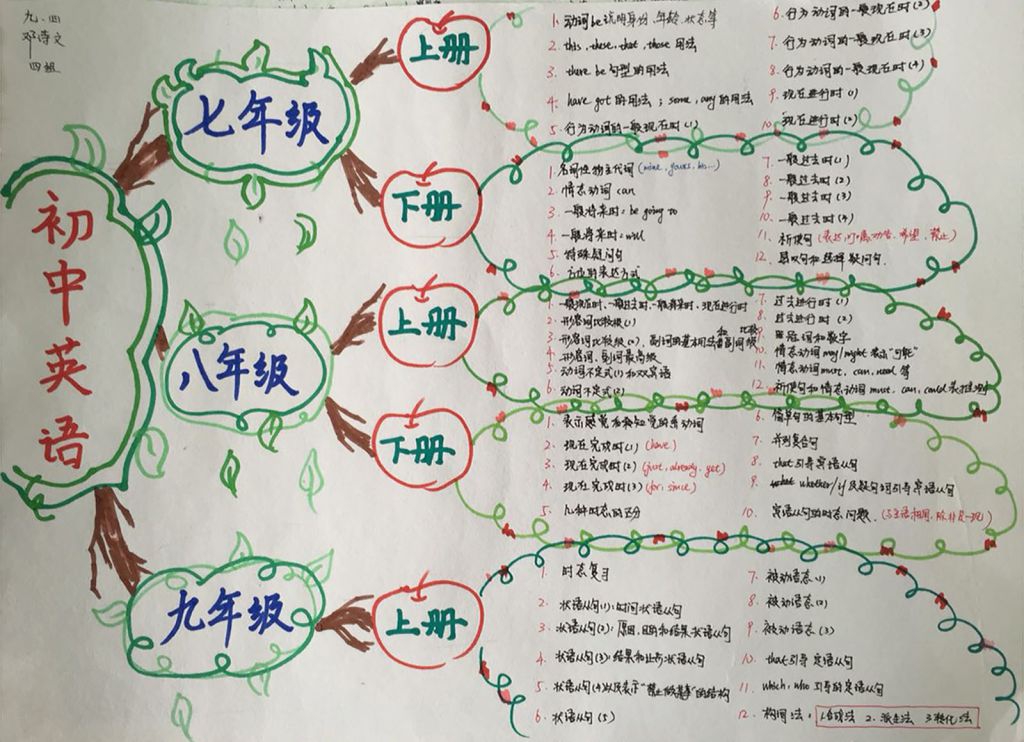 英语知识树手抄报图片展