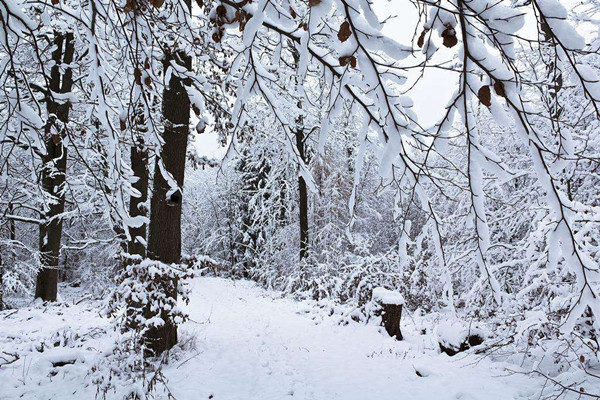 大雪节气是一年中第几个节气 大雪节气是一年中最冷的吗