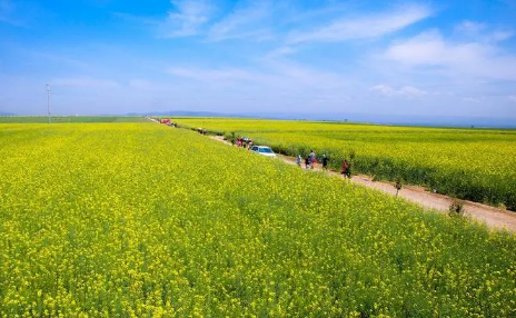 今年夏天2022年高温时间长吗3