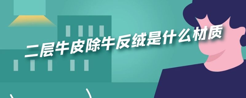 二层牛皮除牛反绒是什么材质