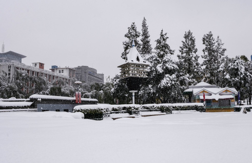 手冻了用雪搓有效果吗1