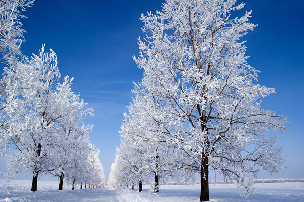 小雪节气是哪一天 小雪节气吃什么养生