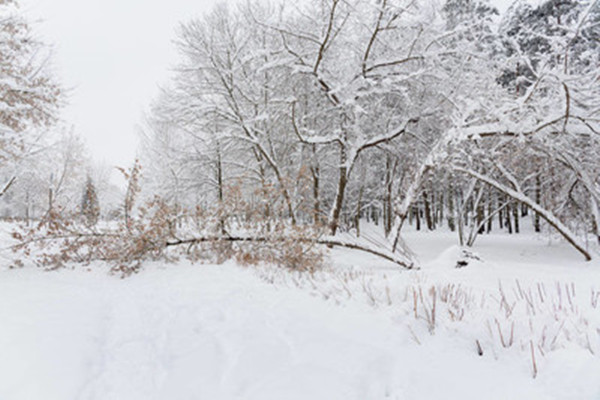 大雪节气是一年中第几个节气 大雪节气是一年中最冷的吗