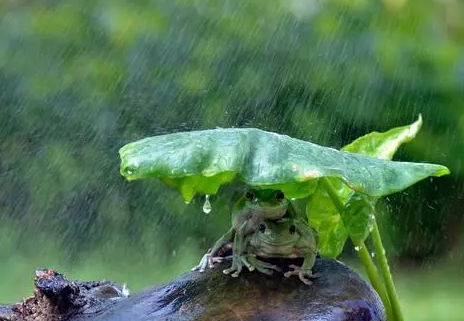 2022年南方梅雨季节是几月几号3