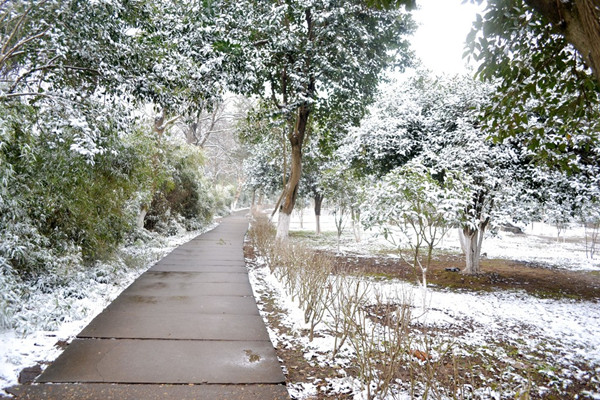 小雪节气会下雪吗 小雪节气的含义是什么