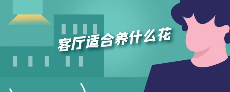 客厅适合养什么花