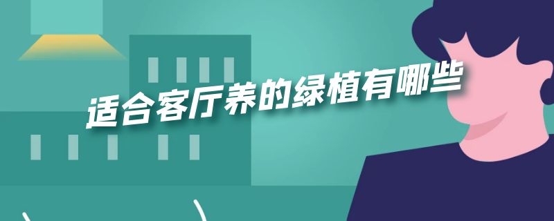 适合客厅养的绿植有哪些