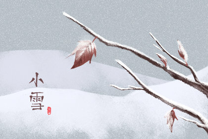 小雪吃什么蔬菜最好 这10种最合适